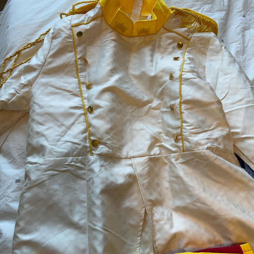 Prince Charming Disney costume